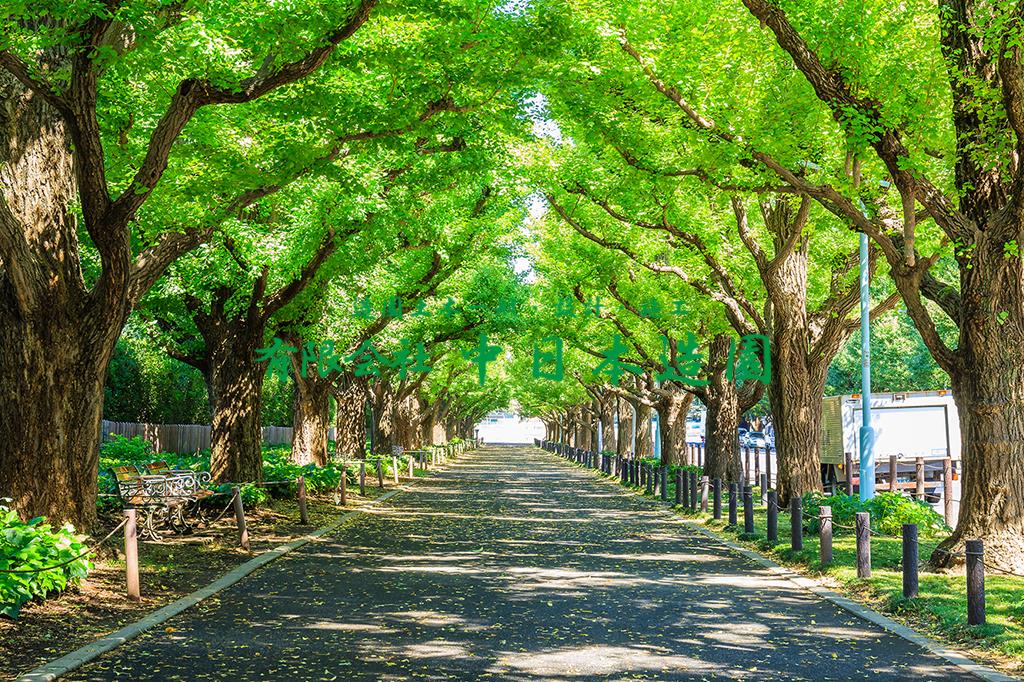 有限会社 中日本造園 造園業の魅力 一宮市で建設業や造園業への転職や 正社員の募集をお探しの方はお気軽にお問い合わせください